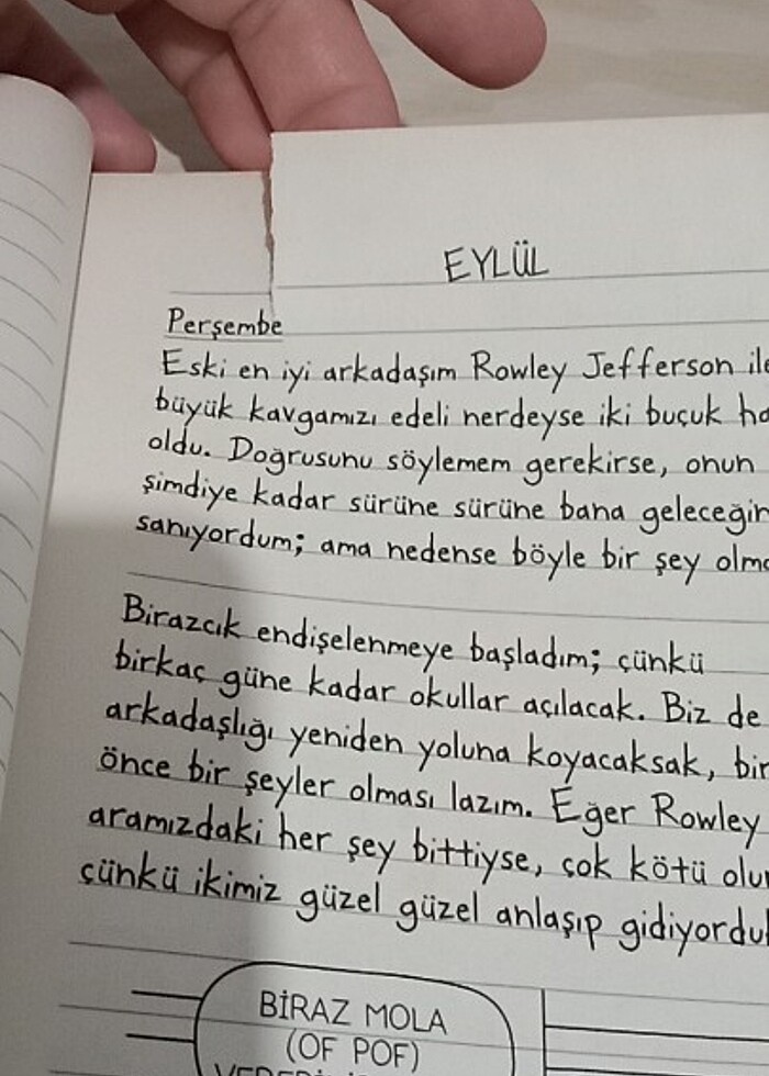 Saftirik kitabi - Görsel 2