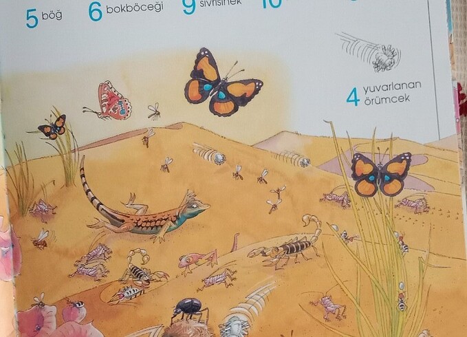 Hayvan bulma kitabı  - Görsel 2