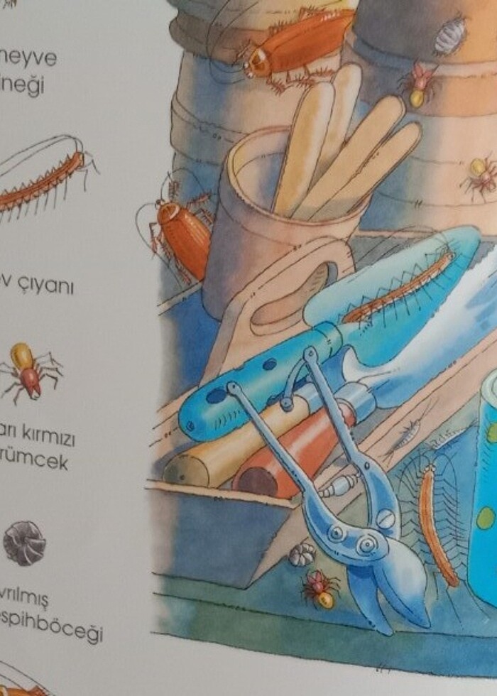 Hayvan bulma kitabı  - Görsel 3