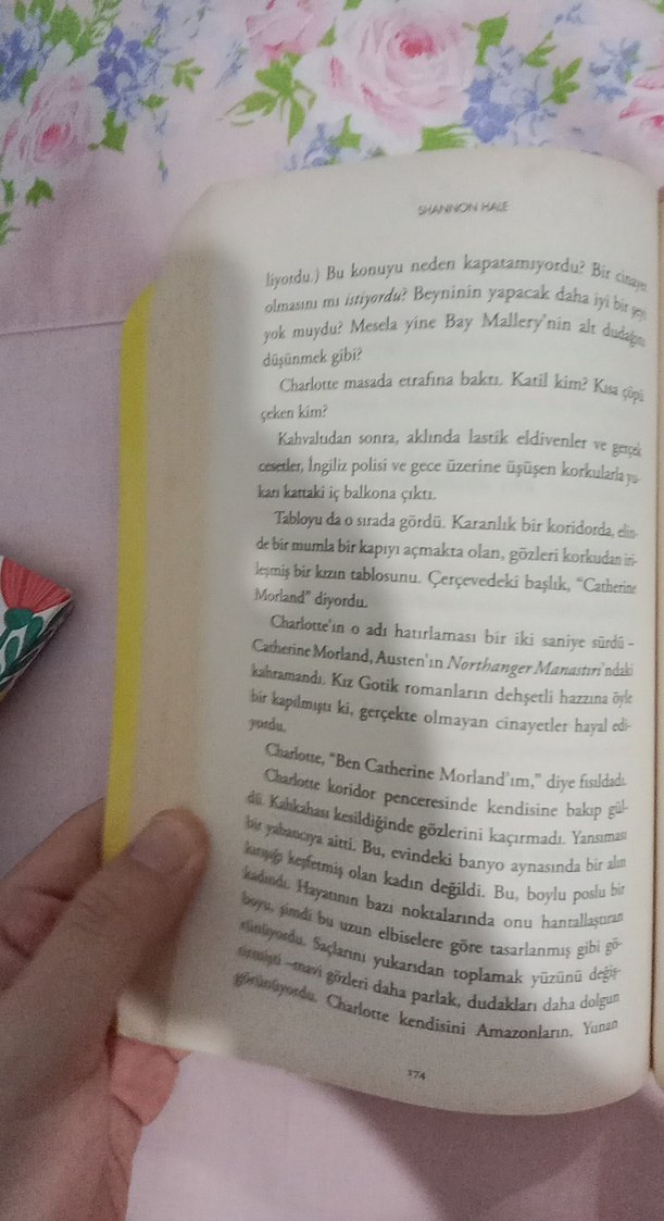 Austen Diyarı'nda Gece Yarısı Roman - Görsel 3