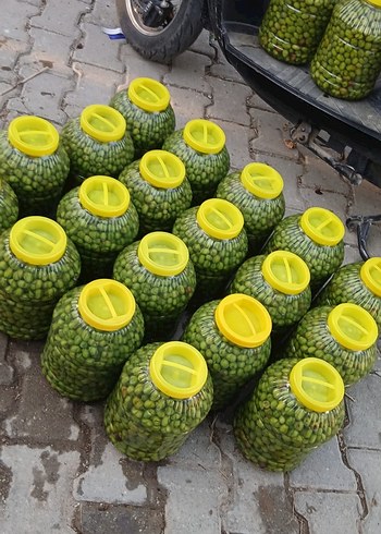 Gardrops ilanı