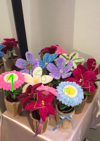 dekoratif saksı çiçeği - Görsel 2