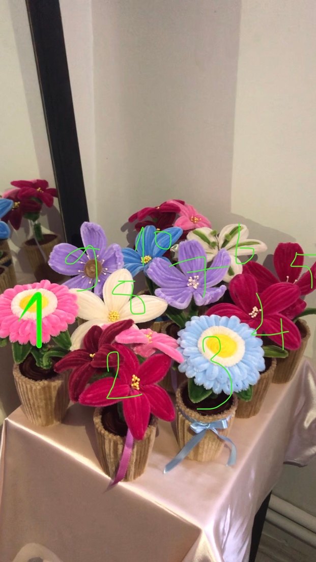 dekoratif saksı çiçeği - Görsel 2