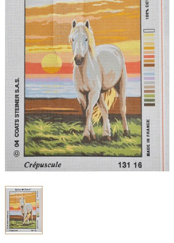 Royal Paris 30×40 coton at temalı Hazır etamin işidir.