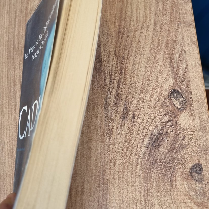 Las Vegas'ın En Ünlü Katilinin Gerçek Öyküsü - Görsel 3