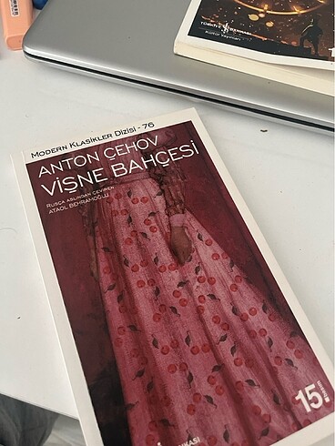 Vişne bahçesi