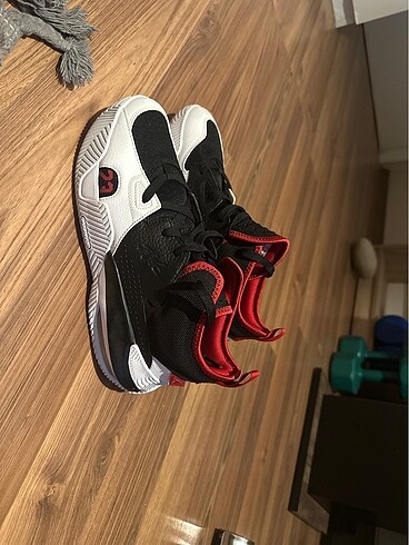 Jordan flight