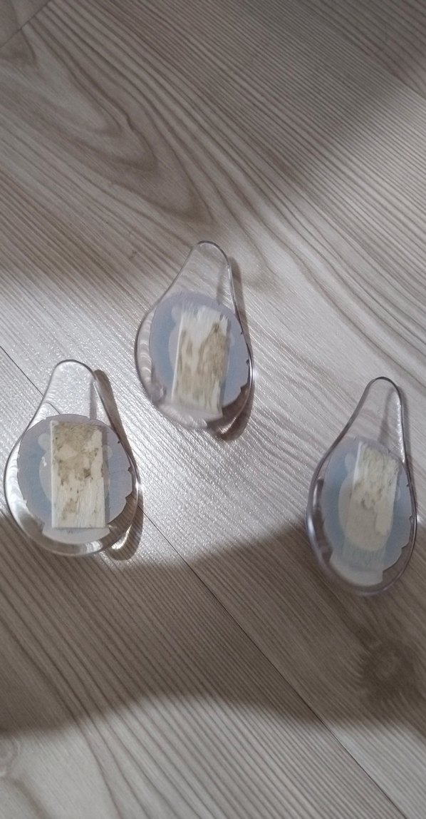 Aslan Figürlü Şeffaf Kedi Askısı - Görsel 2