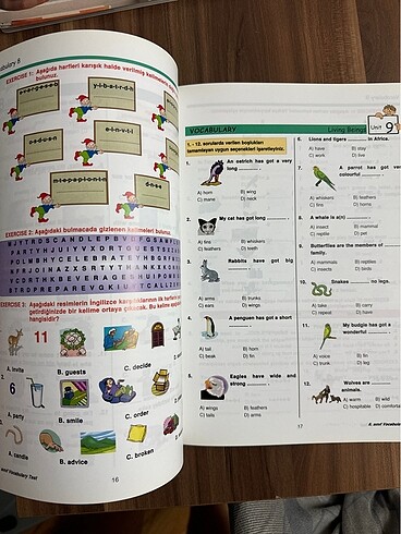  Beden Renk Vocabulary Time