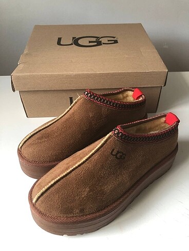 Ugg UGG tazz taba 39