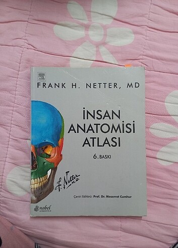 Netter anatomi atlası