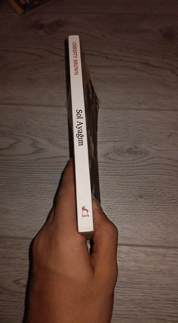 Sol Ayağım - Christy Brown - Görsel 3