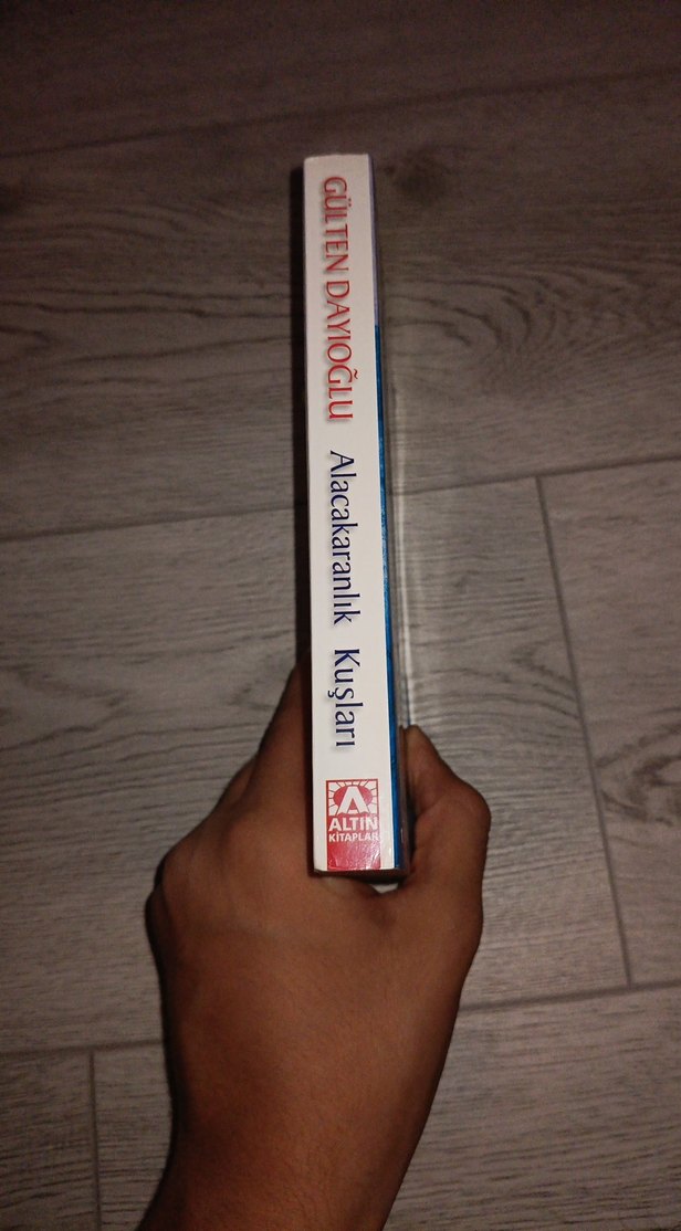 Gülten Dayıoğlu - Alacakaranlık Kuşları - Görsel 2