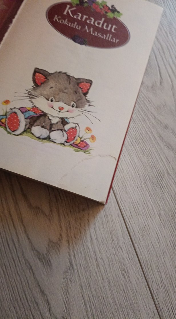 Karadut Kokulu Masallar - Çocuk Kitabı - Görsel 2