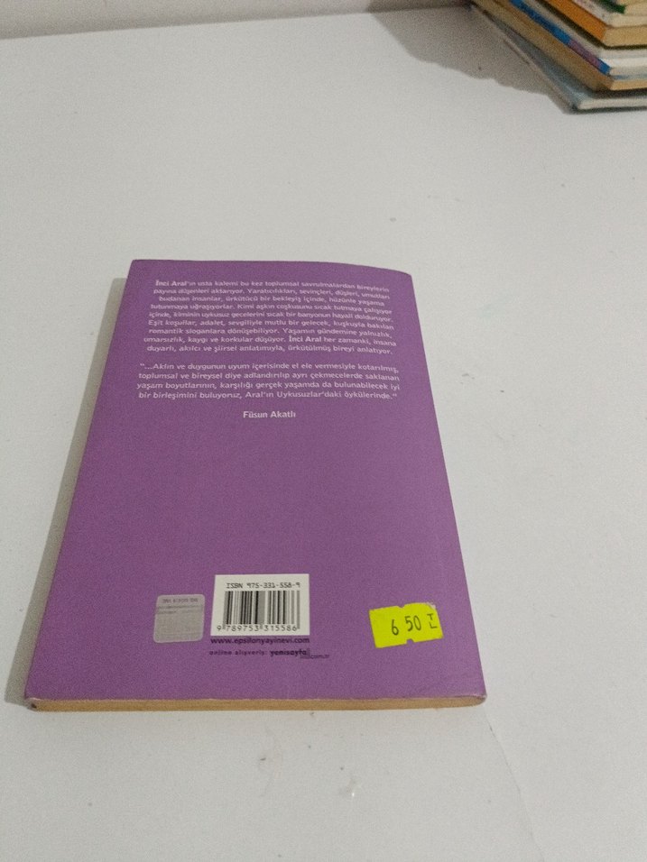 İnci Aral - Uykusuzlar Romanı - Görsel 2