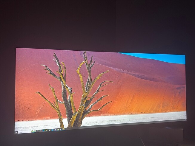  Beden MSI MAG401QR