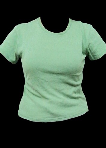 FISTIK YEŞİLİ CROP