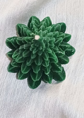 20 adet Yeşil Çam Ağacı Şekilli Mum - Görsel 6