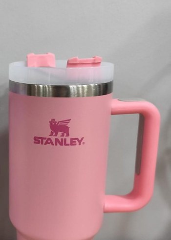 Pastel Pembe ve Mor Stanley Termos Bardaklar - Görsel 4