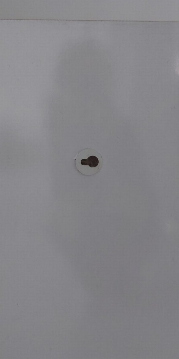 Beyaz Mobilya Askılık rafli - Görsel 4