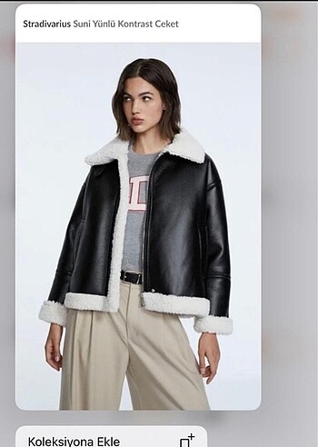 Stradivarius montt