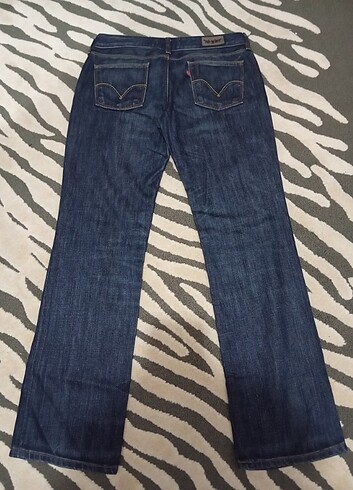 Levis Levi's kot pantolon 