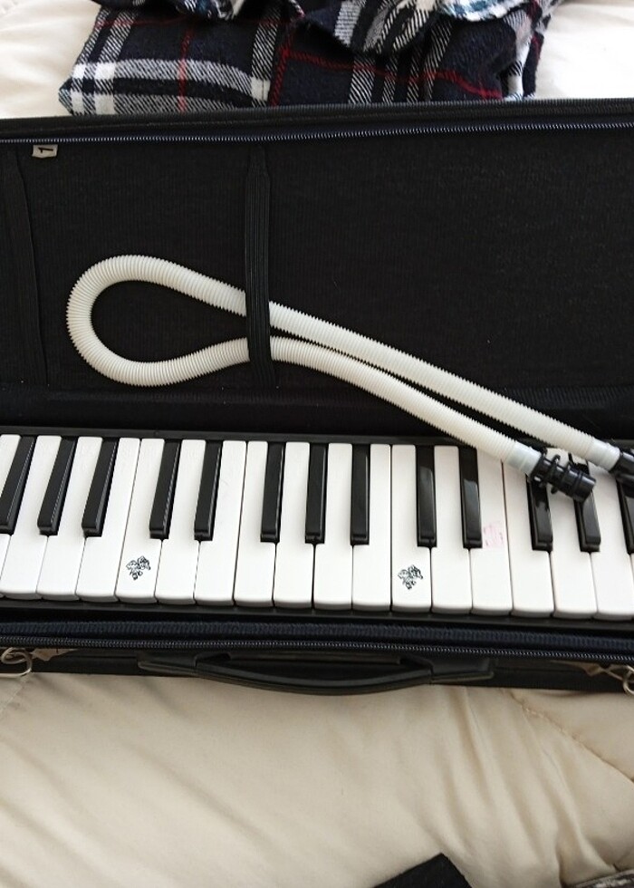 çantalı Lino melodika  - Görsel 2