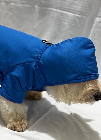 Kedi ve Köpek kıyafetleri - Görsel 3