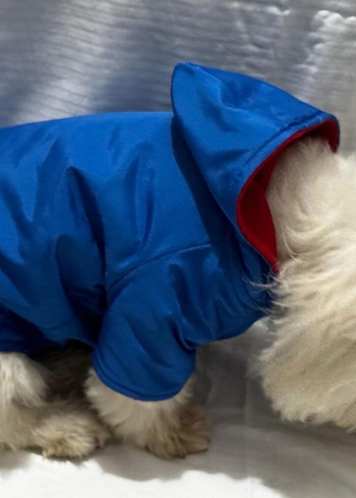 Kedi ve Köpek kıyafetleri  - Görsel 2