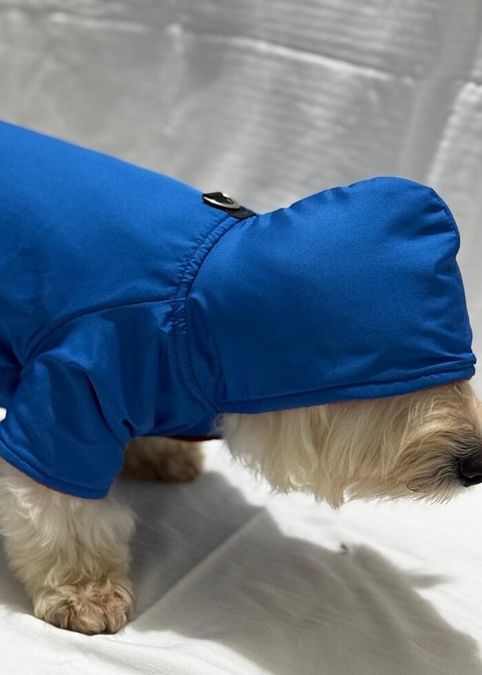 Kedi ve Köpek kıyafetleri  - Görsel 3