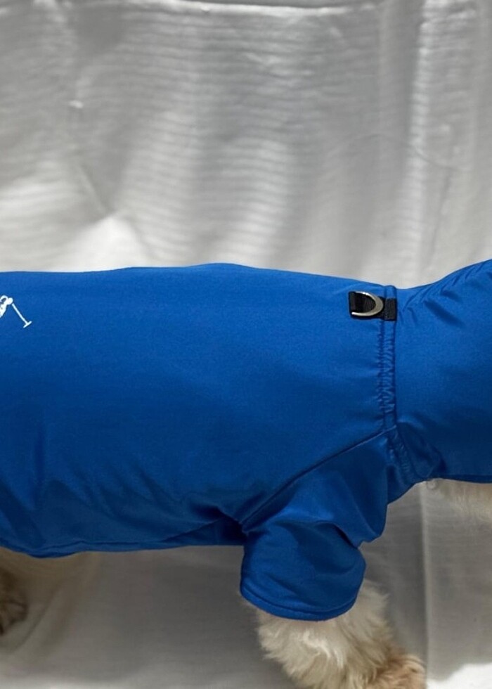 Kedi ve Köpek kıyafetleri  - Görsel 4