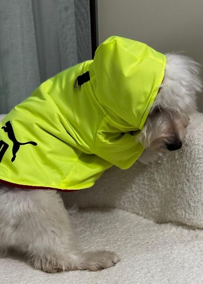 Kedi ve Köpek kıyafetleri  - Görsel 3