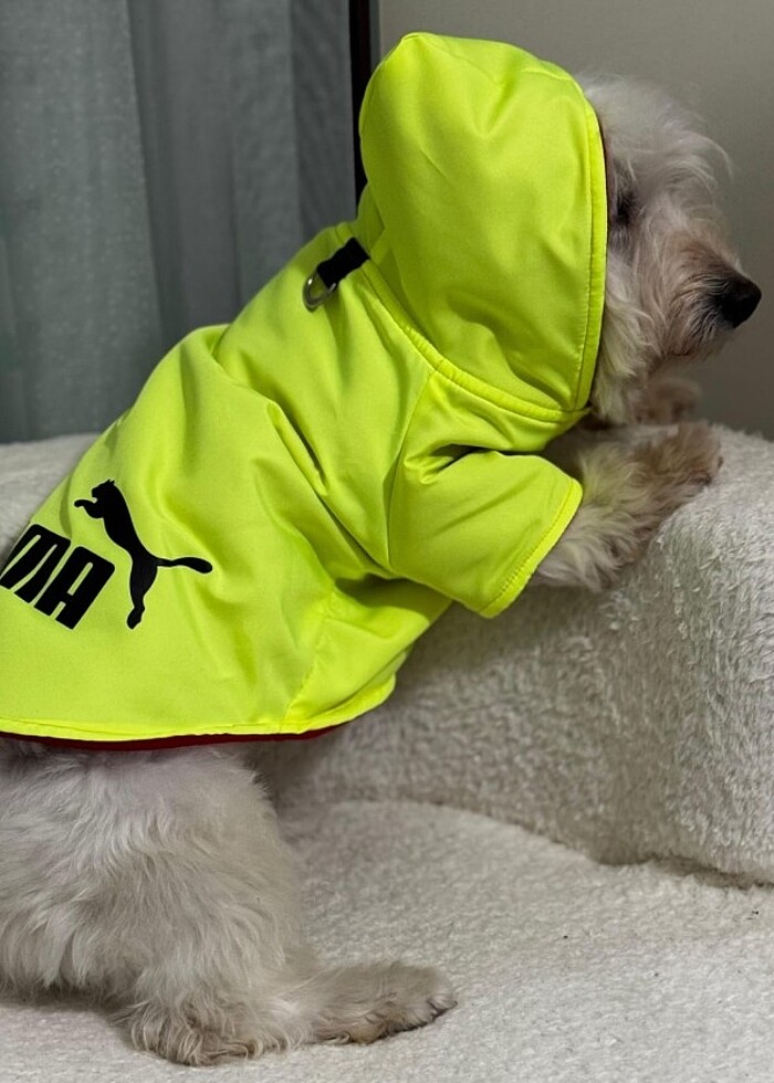 Kedi ve Köpek kıyafetleri  - Görsel 4