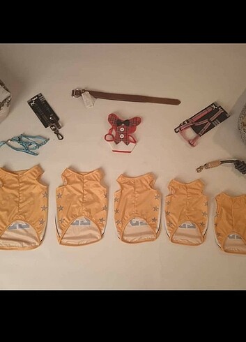 Kedi ve Köpek kıyafetleri - Görsel 2