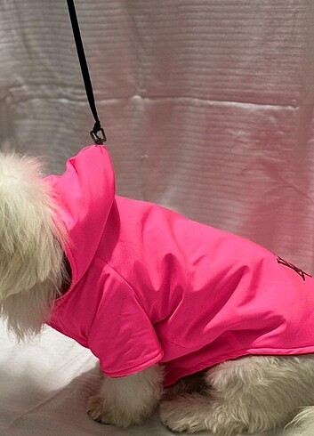 Kedi ve Köpek kıyafetleri  - Görsel 3