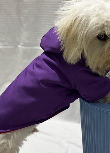 Kedi ve Köpek kıyafetleri  - Görsel 2