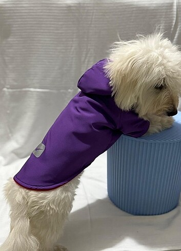 Kedi ve Köpek kıyafetleri  - Görsel 3