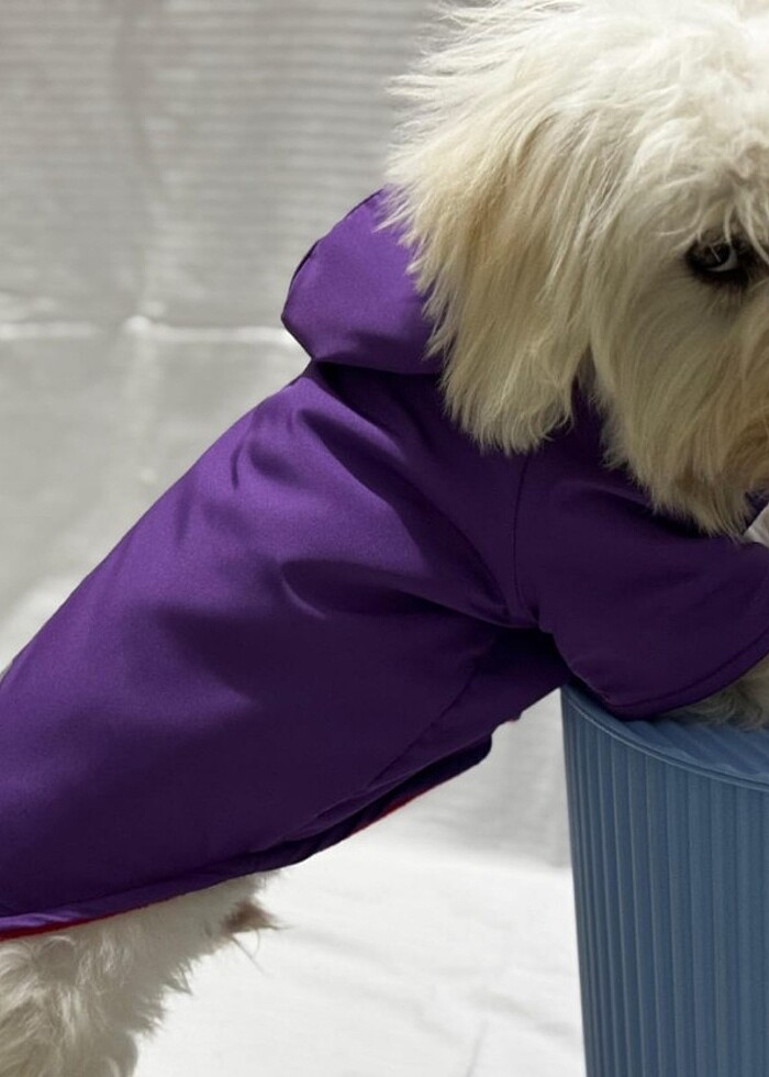 Kedi ve Köpek kıyafetleri  - Görsel 2