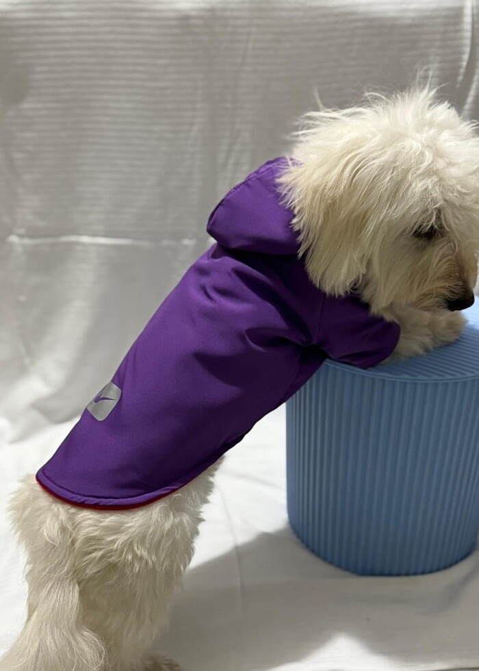 Kedi ve Köpek kıyafetleri  - Görsel 3