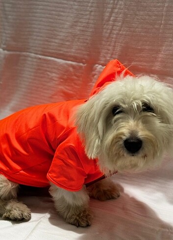 Kedi ve Köpek kıyafetleri  - Görsel 3