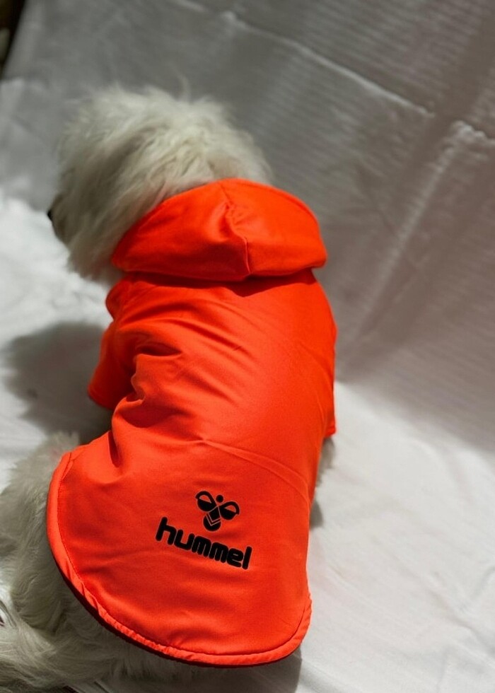 Kedi ve Köpek kıyafetleri  - Görsel 4