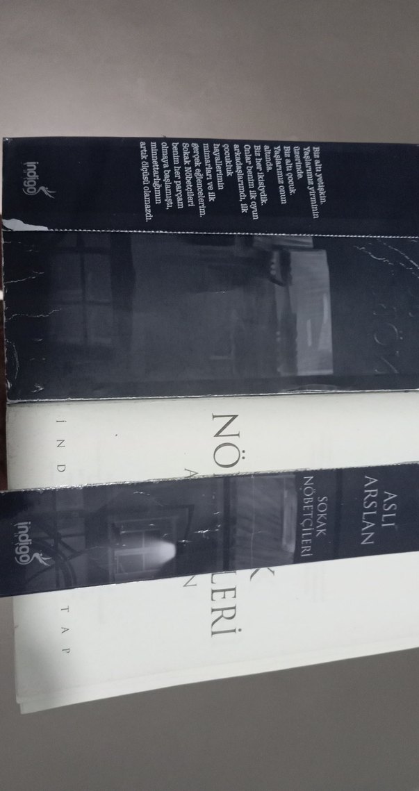 Sokak Nöbetçileri 1 - Aslı Arslan - Görsel 3