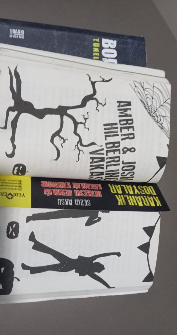 Karanlık Dosyalar ve Bodrum Katı Romanları - Görsel 3