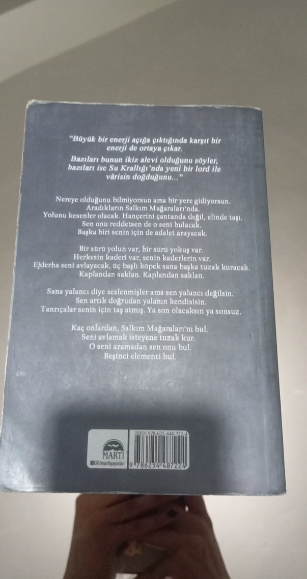 Lordlar ve Varisler - N.G. Kabal - Görsel 2