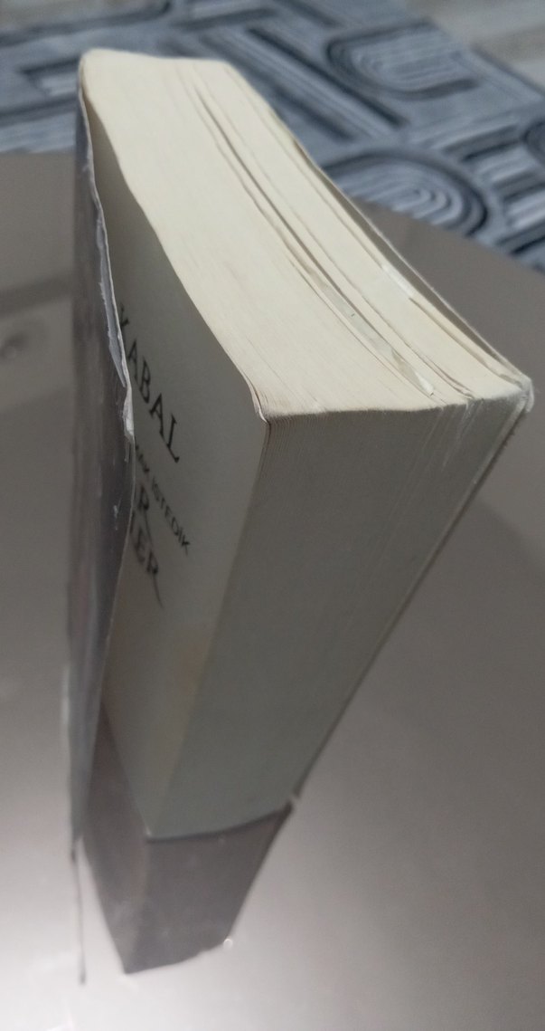 Lordlar ve Varisler - N.G. Kabal - Görsel 3