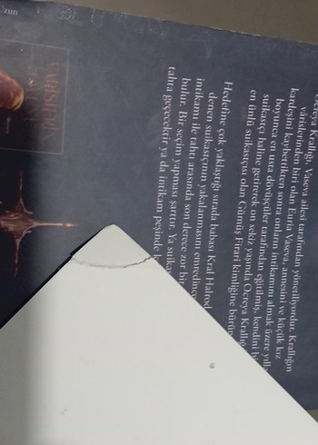 Wisteria 1 ve 2 Roman Seti adora yağmur - Görsel 4