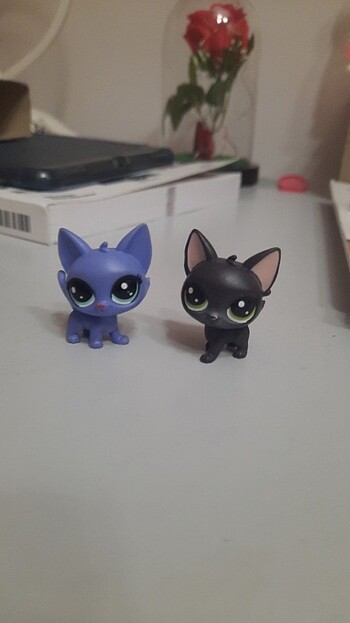 LPS MİNİŞ