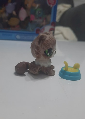orjinal persian cat custom