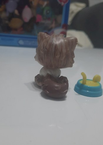 Beden orjinal persian cat custom