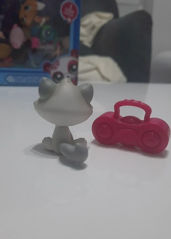  Beden tabby cat miniş orjinal